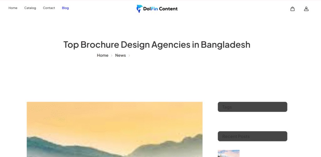 DolFinContent-Brochure Design Services