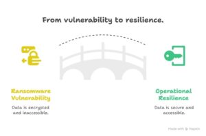 From vulnerability to resilience.