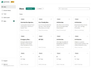 Grammarly-interface.jpg