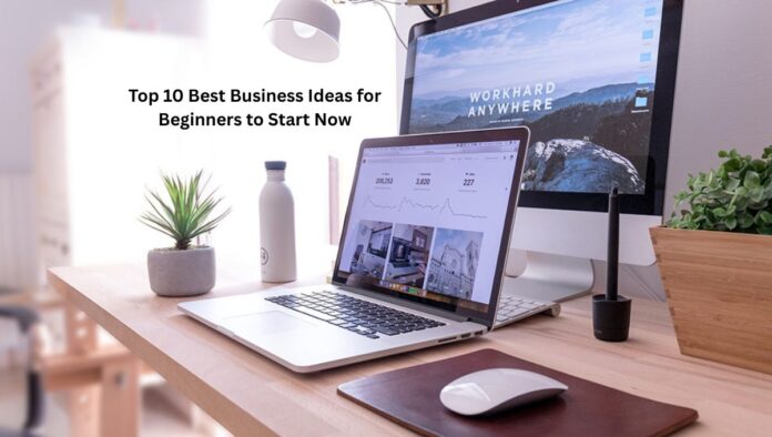 best business ideas for beginners